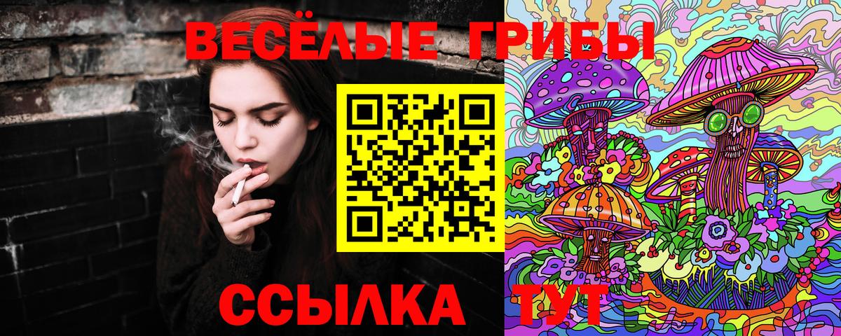 Псилоцибиновые грибы GOLDEN TEACHER  Вход с VPN  Кисловодск 